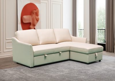 Zerax-Sectional-wsleeper